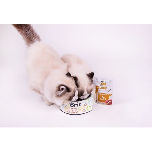 Корм вологий Brit Care Soup Duck д/котів суп з качкою 75 г 1111182590 фото