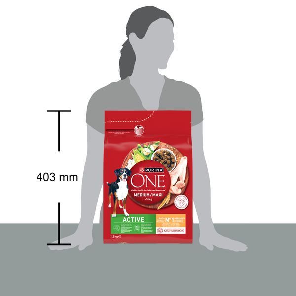 ONE MedMax Active Dog Курка 2.5кг 7613036692021 фото
