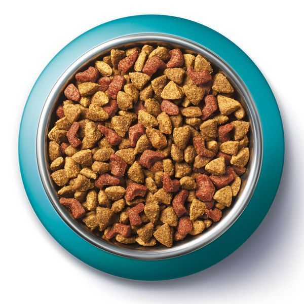 Purina One(Пуріна Ван) DUAL NATURE. З куркою. 750г 7613036257633 фото