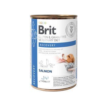Вологий корм Brit Grain Free Veterinary Diets Recovery для дорослих собак та котів для відновлення після хвороби чи операції 400г 1111168649 фото