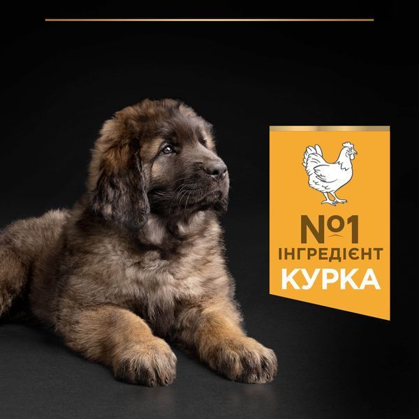 ProPlan Puppy Large Robust. З куркою. Для цуц. великих порід, сух. 12кг 7613035120341 фото