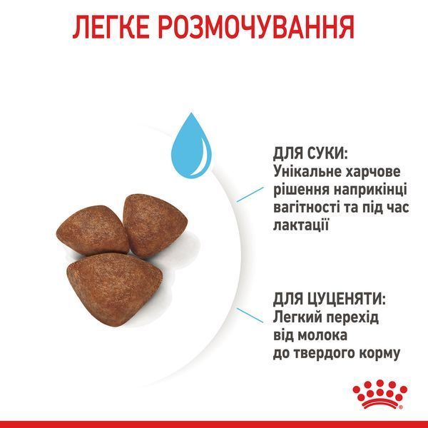 Cухий корм для новонароджених цуценят мініютюрних порід ROYAL CANIN MINI STARTER 1 кг 1288807204 фото