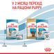 Cухий корм для новонароджених цуценят мініютюрних порід ROYAL CANIN MINI STARTER 1 кг 1288807204 фото 6