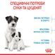 Cухий корм для новонароджених цуценят мініютюрних порід ROYAL CANIN MINI STARTER 1 кг 1288807204 фото 3