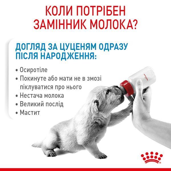 Молоко для новонароджених собак ROYAL CANIN BABYDOG MILK 2 кг 1939254254 фото
