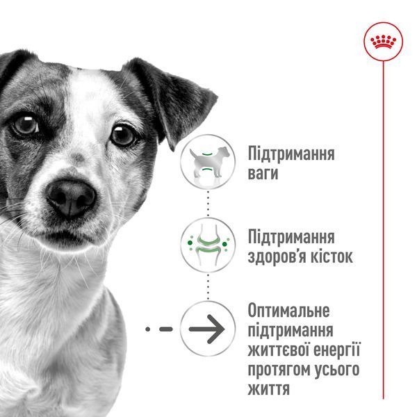 Корм для дорослих собак дрібних порід ROYAL CANIN MINI AGEING 12+(віком від 12 років) 0.8 кг 1288807217 фото