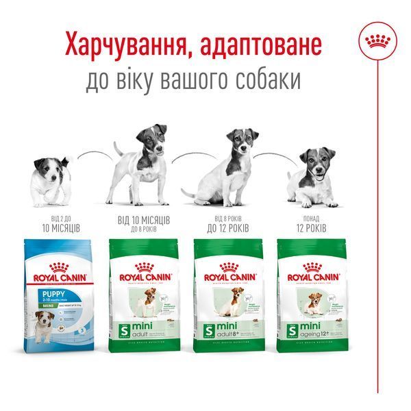 Корм для дорослих собак дрібних порід ROYAL CANIN MINI AGEING 12+(віком від 12 років) 0.8 кг 1288807217 фото