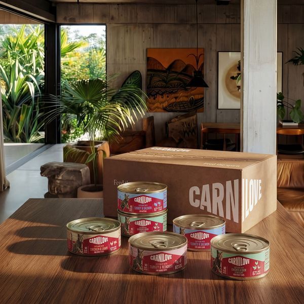 Корм вологий Carnilove Turkey & Reindeer для котів паштет індичка і північний олень 100 г 1111223567 фото