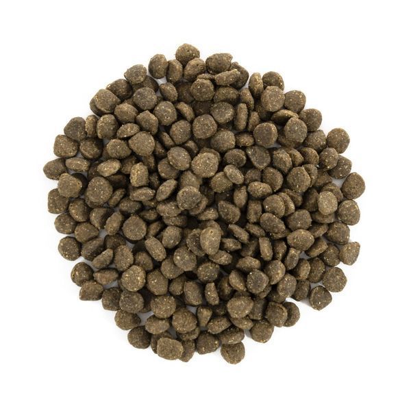 Корм сухий Brit Care Grain Free Mini Adult Lamb для дорослих собах мініатюрних порід з ягням 400 г 1111148813 фото