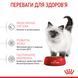 Корм для кошенят віком до 12 місяців ROYAL CANIN KITTEN 1.2 кг 2579206008 фото 5