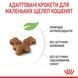 Корм для кошенят віком до 12 місяців ROYAL CANIN KITTEN 1.2 кг 2579206008 фото 6