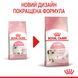 Корм для кошенят віком до 12 місяців ROYAL CANIN KITTEN 1.2 кг 2579206008 фото 2