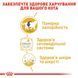 Вологий корм для дорослих котів ROYAL CANIN BRITISH SHORTHAIR ADULT 0.085 кг 1288807440 фото 5