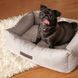Лежак Pet Fashion Bond №1 для собак сірий 60х50х18 см 1111166421 фото 2