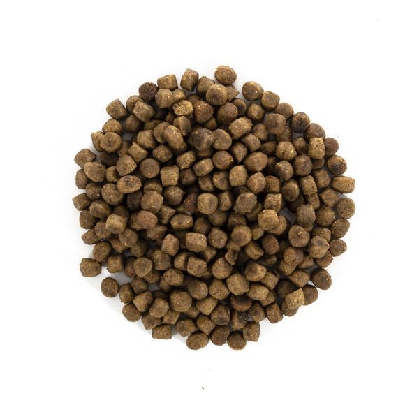 Корм сухий Brit Care Cat Grain Free Kitten Healthy Growth and Development для кошенят для здорового зростання та розвитку 400 г 1111162350 фото