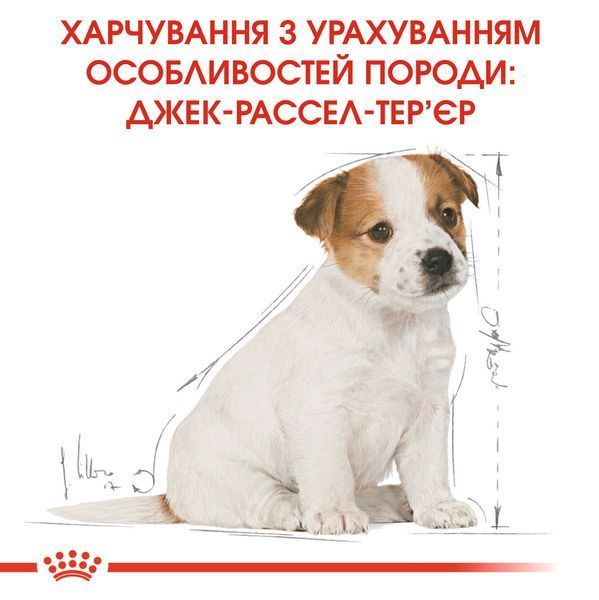 Корм для цуценят породи Джек-Рассел-тер'єр ROYAL CANIN JACK RUSSEL PUPPY 1.5 кг 1288807250 фото