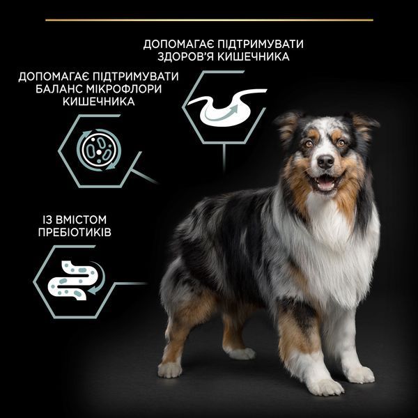 ProPlan Medium Sensitive. З ягням. Для собак сер.порід з чутливим травленням, сух. 3кг 7613035214798 фото
