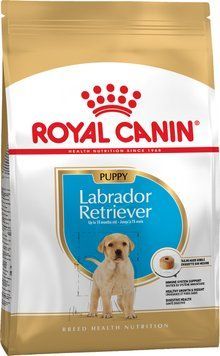 Корм для цуценят породи Лабрадор-ретривер ROYAL CANIN LABRADOR PUPPY 3 кг 1288807272 фото